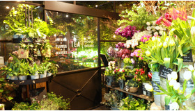 花と緑に囲まれた癒し空間「青山フラワーマーケット ティーハウス」
