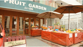 鮮度MAX！ フルーツ店が本気で作る”夏”が詰まったかき氷