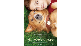 『僕のワンダフル・ライフ』　(C) 2017 Storyteller Distribution Co., LLC and Walden Media, LLC