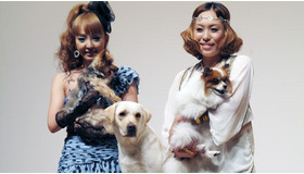 『きな子〜見習い警察犬の物語〜』試写会　photo：Yoko Saito