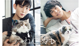 「ねこカレ」（C） TC Entertainment,Inc.