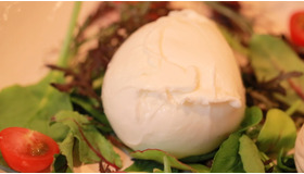 生クリームより濃厚!? 日本初の水牛モッツァレラチーズ専門店