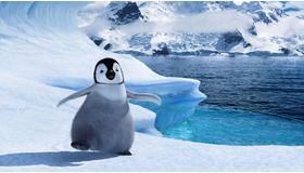 『ハッピー・フィート』　メイン