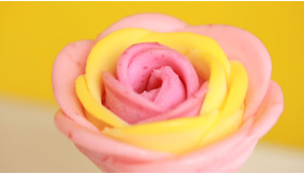 写真を取らずにいられない！ かわいすぎるお花ジェラート 