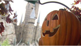 「ウィザーディング・ワールド・オブ・ハリー・ポッター」