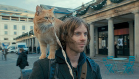 (C) 2016 STREET CAT FILM DISTRIBUTION LIMITED ALL RIGHTS RESERVED.