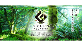 グランツリー武蔵小杉「グリーンアクアリウム展」＿(c)2017 Green Aquarium Project. All Rights Reserved.