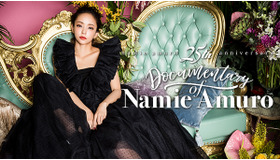 「Documentary of Namie Amuro」