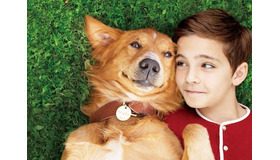 （C） 2017 Storyteller Distribution Co., LLC and Walden Media, LLC