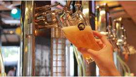 ビール好き必見！ 初心者でも安心の醸造所つきおすすめクラフトビール店3選