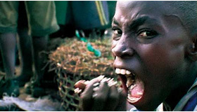 『ダーウィンの悪夢』　メイン