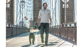 TM&(C)2017 Summit Entertainment, LLC. All Rights Reserved. (C)Niko Tavernise