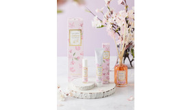 テラクオーレ サクラコレクション