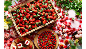 シャンパン・バー「ストロベリー・ピクニックブッフェ」イメージ