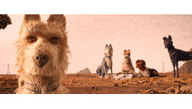 『犬ヶ島』　(c)2018 Twentieth Century Fox Film Corporation