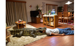 （C）2018「家に帰ると妻が必ず死んだふりをしています。」製作委員会