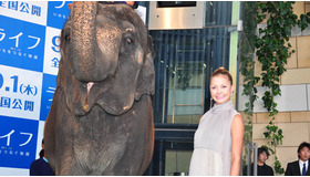 『ライフ −いのちをつなぐ物語−』ジャパンプレミア