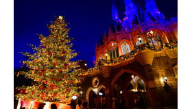 TDLで話題の生木のクリスマスツリー☆(C) Disney