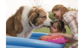 『僕のワンダフル・ジャーニー』（C） Universal Pictures and Amblin Entertainment. All Rights Reserved.