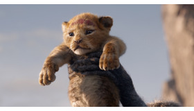 『ライオン・キング』（C） 2019 Disney Enterprises, Inc. All Rights Reserved.