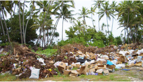 映画にまつわるファッション小噺 vol.24　エコバッグのすすめ