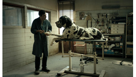 『ドッグマン』　(C) 2018 Archimede srl － Le Pacte sas