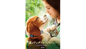 『僕のワンダフル・ジャーニー』　(C) Universal Pictures and Amblin Entertainment. All Rights Reserved.