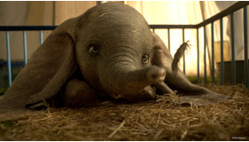 『ダンボ』　（C）2019 Disney