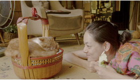 『レンタネコ』 -(C) 2012 レンタネコ製作委員会