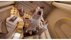 『ロイヤルコーギー レックスの大冒険』（C）  2019 MOVI3D SPRL All Rights Reserved.（C）2019  Nwave