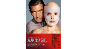 『私が、生きる肌』 -(C) Photo by Jose Haro -(C) El Deseo