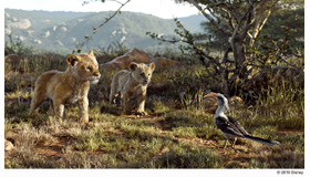 『ライオン・キング』（C） 2019 Disney