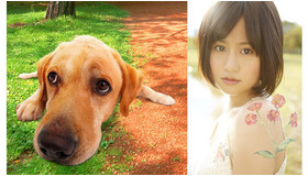 前田敦子、『LOVE　まさお君が行く！』主題歌を担当