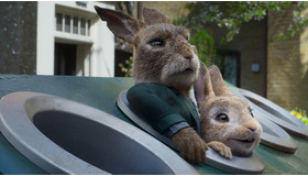 『ピーターラビット２／バーナバスの誘惑』