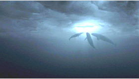 『だれもがクジラを愛してる。』 -(C) 2012 UNIVERSAL STUDIOS.All Rights Reserved.