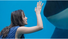 『Rust & Bone (原題)』