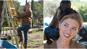 『幸せへのキセキ』 -(C) 2012 Twentieth Century Fox Film Corporation. All Rights Reserved.