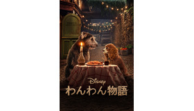 Disney+配信『わんわん物語』(実写版)（C） 2020　Disney