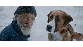 『野性の呼び声』 （C）2020 20th Century Studios