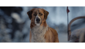 『野性の呼び声』 （C）2020 20th Century Studios