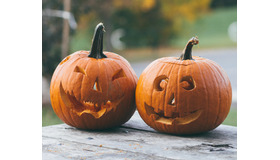 今年はおうちでハロウィン！ 家族や友人と観たい、ハロウィン映画特集