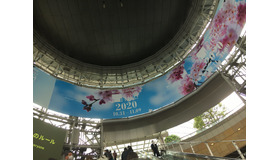 六本木ヒルズへのエレベーターからの眺め。桜のビジュアルがとても美しくテンション上がります