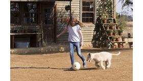 『ミアとホワイトライオン　奇跡の1300日』(C) 2018 Galatee Films - Outside Films - Film Afrika D - Pandora Film - Studiocanal - M6 Films