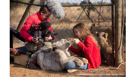 『ミアとホワイトライオン 奇跡の1300日』メイキング（C） Emmanuel Guionet / Galatee Films - Outside Films