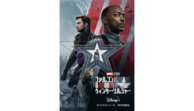 「ファルコン＆ウィンターソルジャー」（C）2021 Marvel