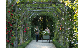 『ローズメイカー 奇跡のバラ』THE ROSE MAKER （C） 2020 ESTRELLA PRODUCTIONS - FRANCE 3 CINEMA - AUVERGNE-RHONE-ALPES CINEMA