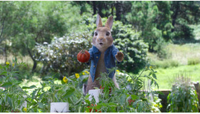 『ピーターラビット２／バーナバスの誘惑』