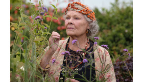 『ブライズ・スピリット～夫をシェアしたくはありません！』 (C) BLITHE SPIRIT PRODUCTIONS LTD 2020