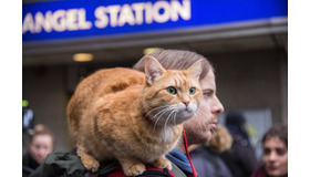 『ボブという名の猫2　幸せのギフト』（C） 2020 A GIFT FROM BOB PRODUCTION LTD. ALL RIGHTS RESERVED.