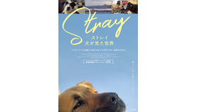 『ストレイ 犬が見た世界』（C） 2020 THIS WAS ARGOS, LLC